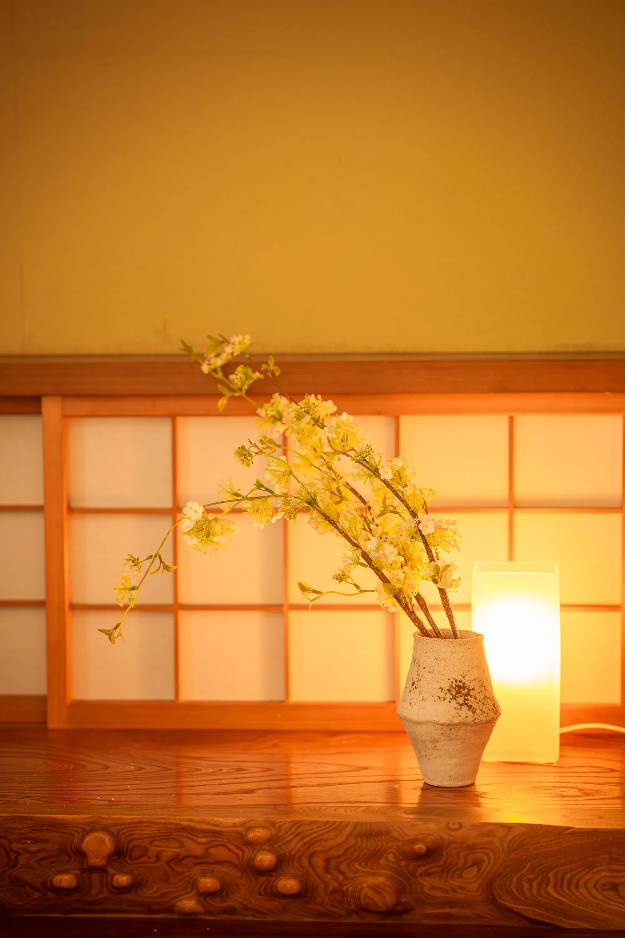 椛 Momiji — 内観